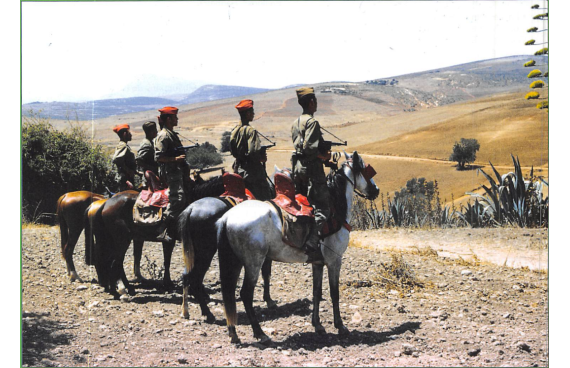  SAS de Souk El Tenine (Tlemcen, Beni Saf)