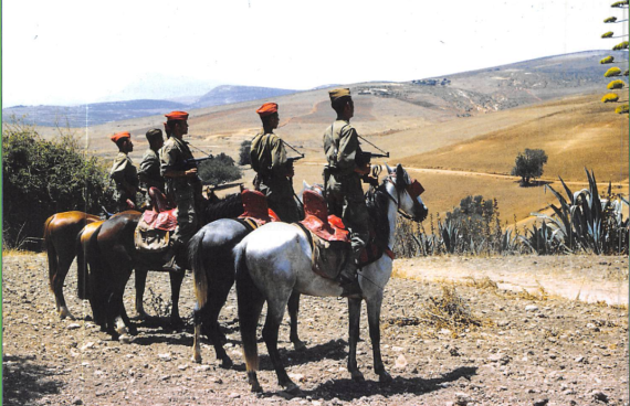  SAS de Souk El Tenine (Tlemcen, Beni Saf)
